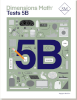 Maths Tests 5B