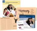 Phonetic Zoo Spelling Starter Set B
