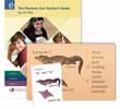 Phonetic Zoo Budget Package [No Audio CDs Included]